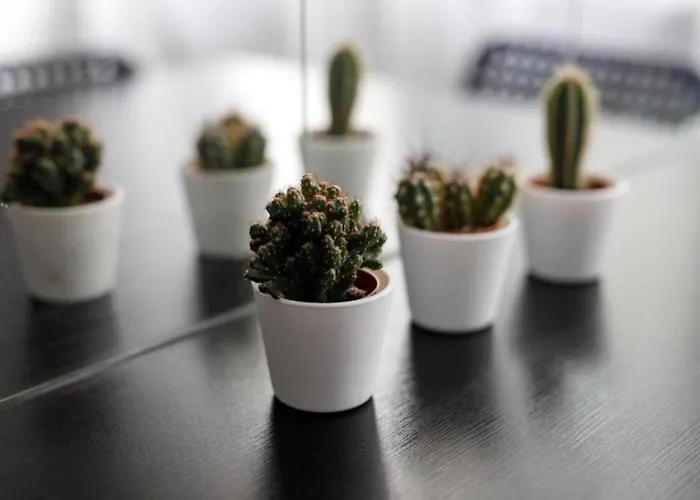 Golden Apartment Wroclaw - One Bedroom Apartment - Rynek Square&Widok