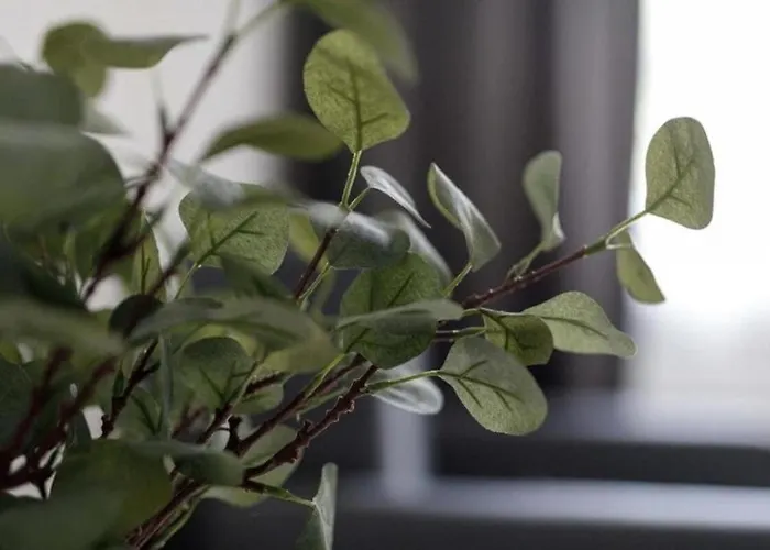 Appartement Golden Apartment Wroclaw - One Bedroom Apartment - Rynek Square&Widok *